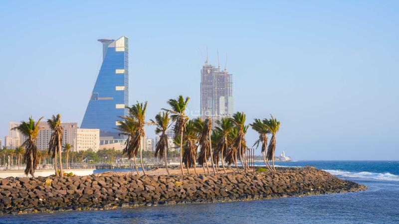 مكتب 300 م² في الشاطئ