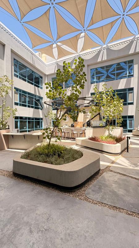 مكتب 5000 م² في الدريهمية