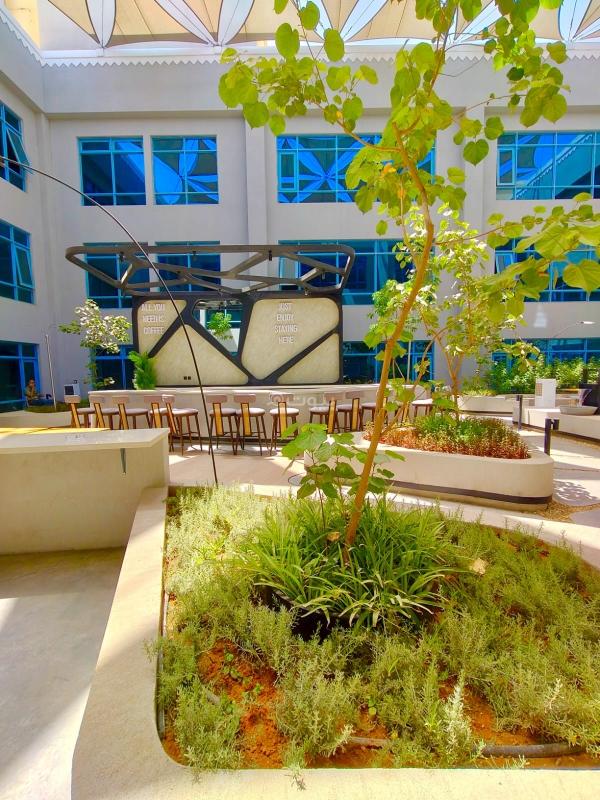 مكتب 5000 م² في الدريهمية