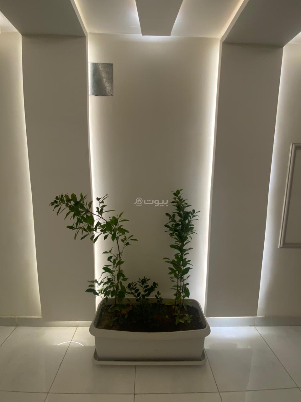 شقة 1 غرف في العقيق