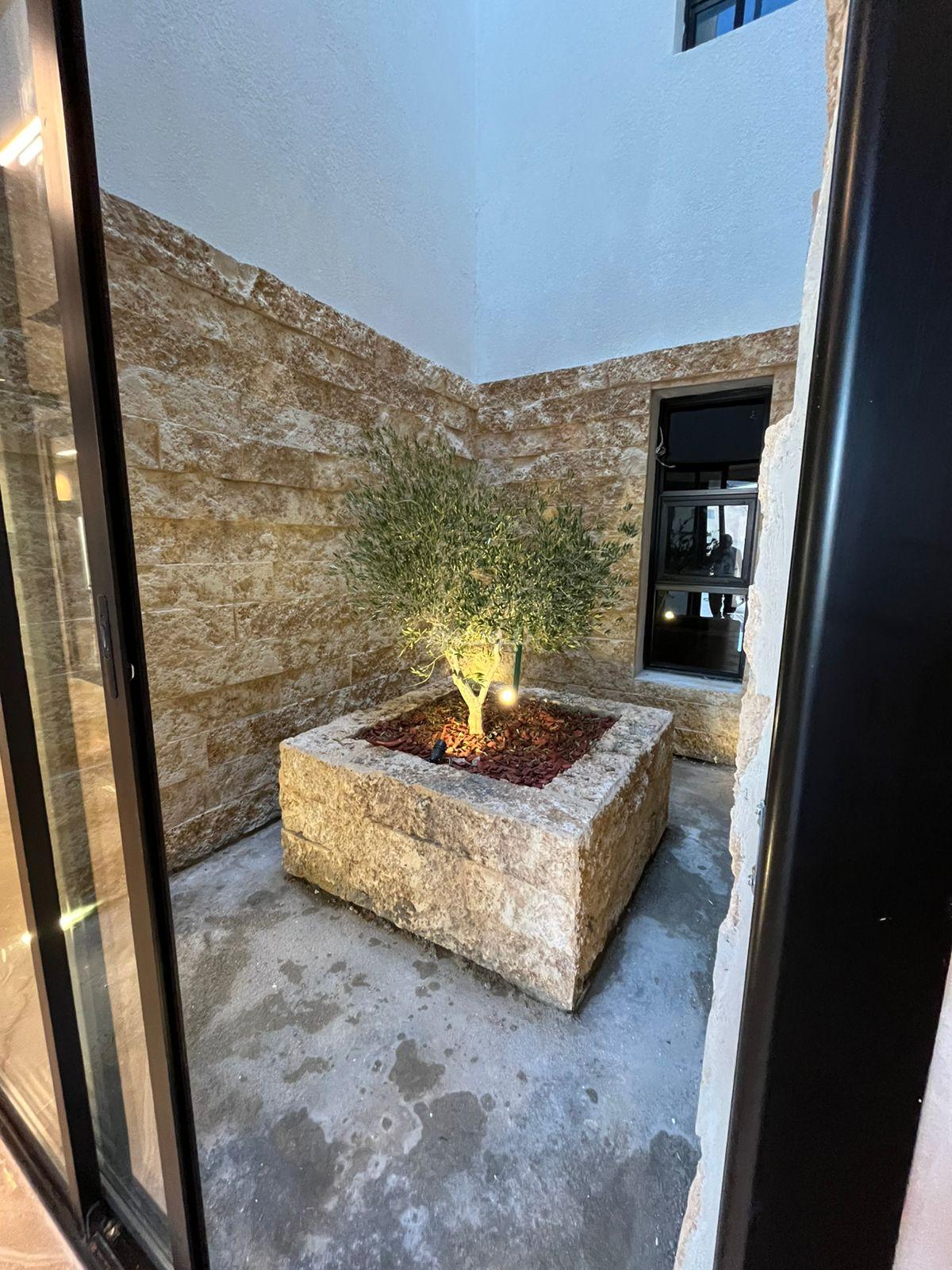 شقة 3 غرف في المهدية