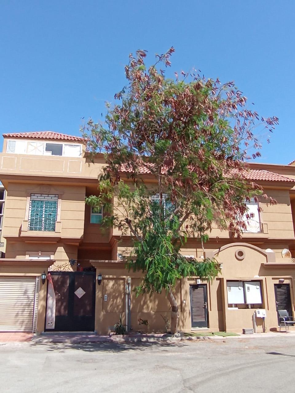 فيلا 11 غرف في الشاطئ